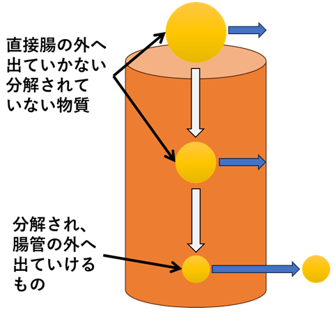 フードアレルギー1